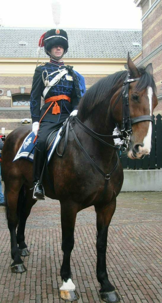 Dutch Cavalry 